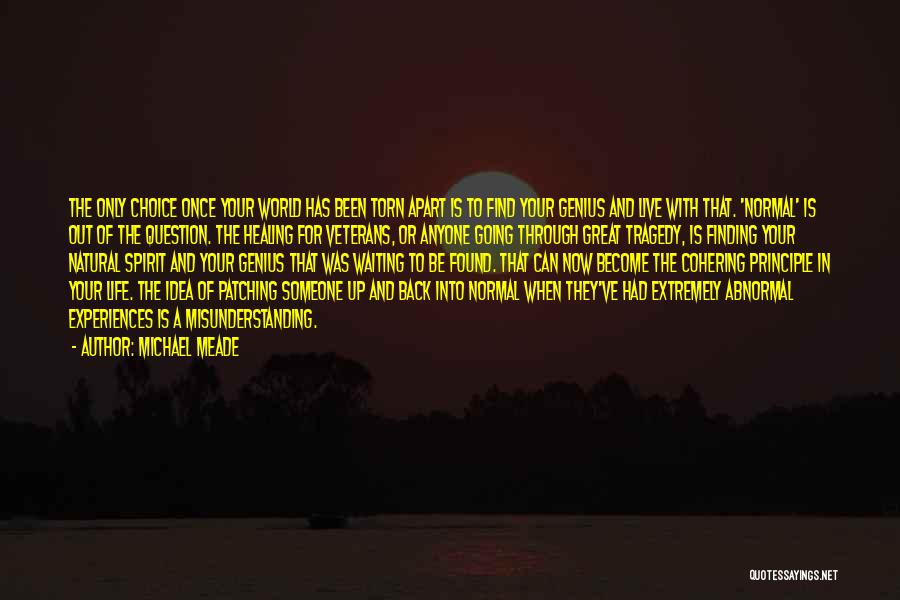 Michael Meade Quotes: The Only Choice Once Your World Has Been Torn Apart Is To Find Your Genius And Live With That. 'normal'