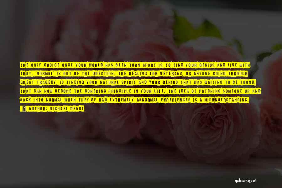 Michael Meade Quotes: The Only Choice Once Your World Has Been Torn Apart Is To Find Your Genius And Live With That. 'normal'