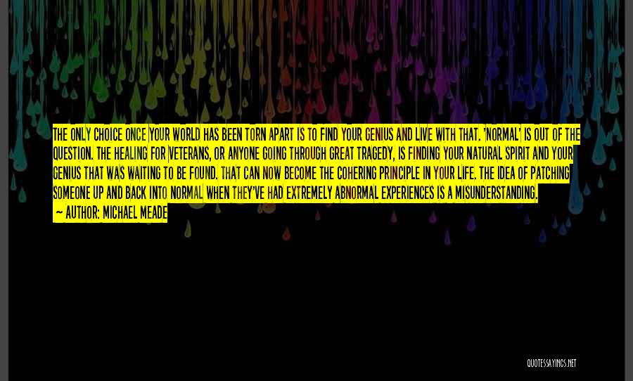 Michael Meade Quotes: The Only Choice Once Your World Has Been Torn Apart Is To Find Your Genius And Live With That. 'normal'