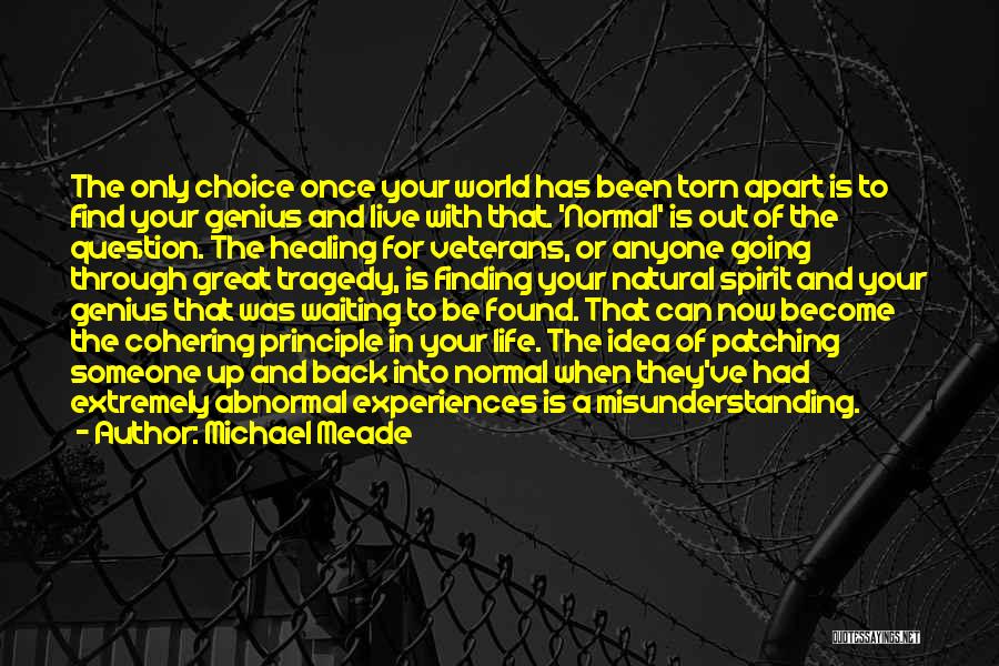 Michael Meade Quotes: The Only Choice Once Your World Has Been Torn Apart Is To Find Your Genius And Live With That. 'normal'