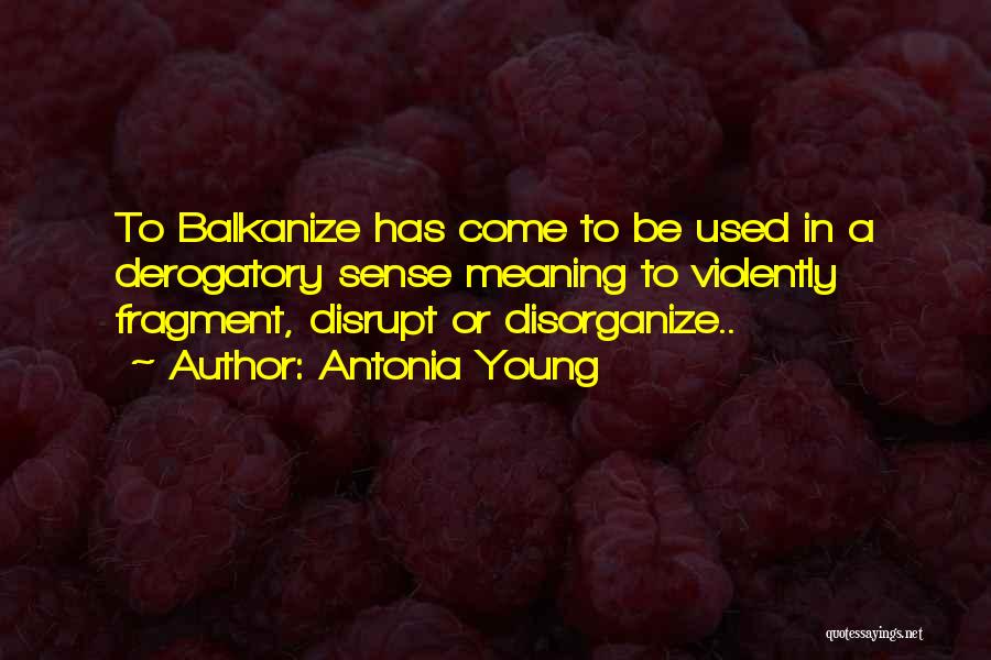 Antonia Young Quotes: To Balkanize Has Come To Be Used In A Derogatory Sense Meaning To Violently Fragment, Disrupt Or Disorganize..