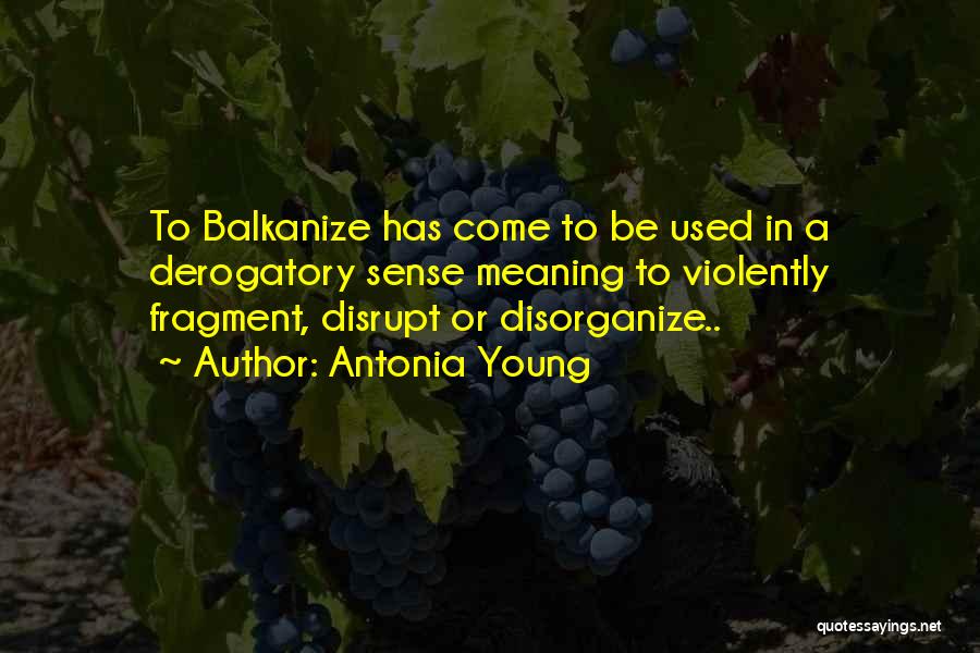 Antonia Young Quotes: To Balkanize Has Come To Be Used In A Derogatory Sense Meaning To Violently Fragment, Disrupt Or Disorganize..