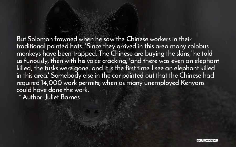 Juliet Barnes Quotes: But Solomon Frowned When He Saw The Chinese Workers In Their Traditional Pointed Hats. 'since They Arrived In This Area