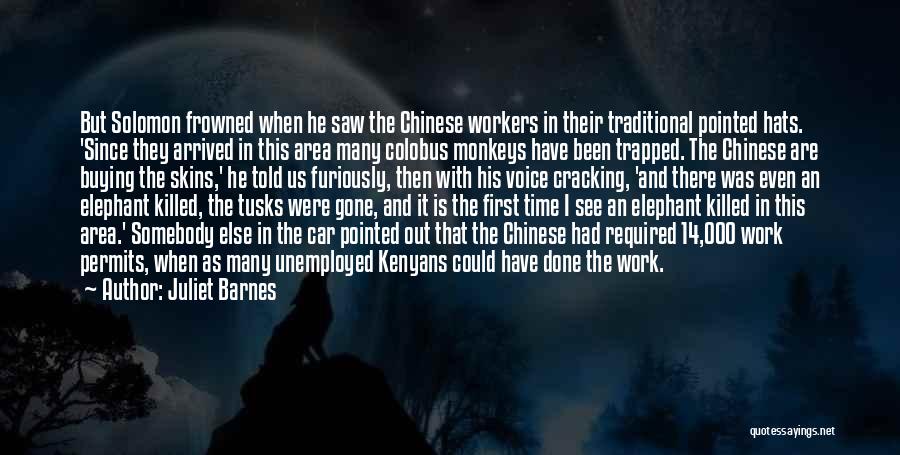 Juliet Barnes Quotes: But Solomon Frowned When He Saw The Chinese Workers In Their Traditional Pointed Hats. 'since They Arrived In This Area