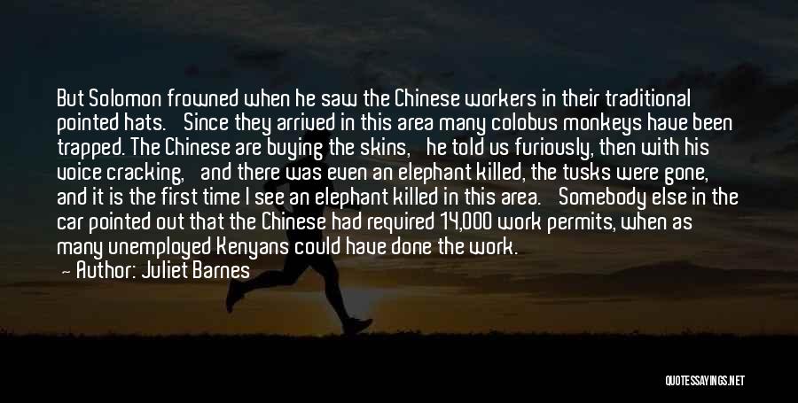 Juliet Barnes Quotes: But Solomon Frowned When He Saw The Chinese Workers In Their Traditional Pointed Hats. 'since They Arrived In This Area