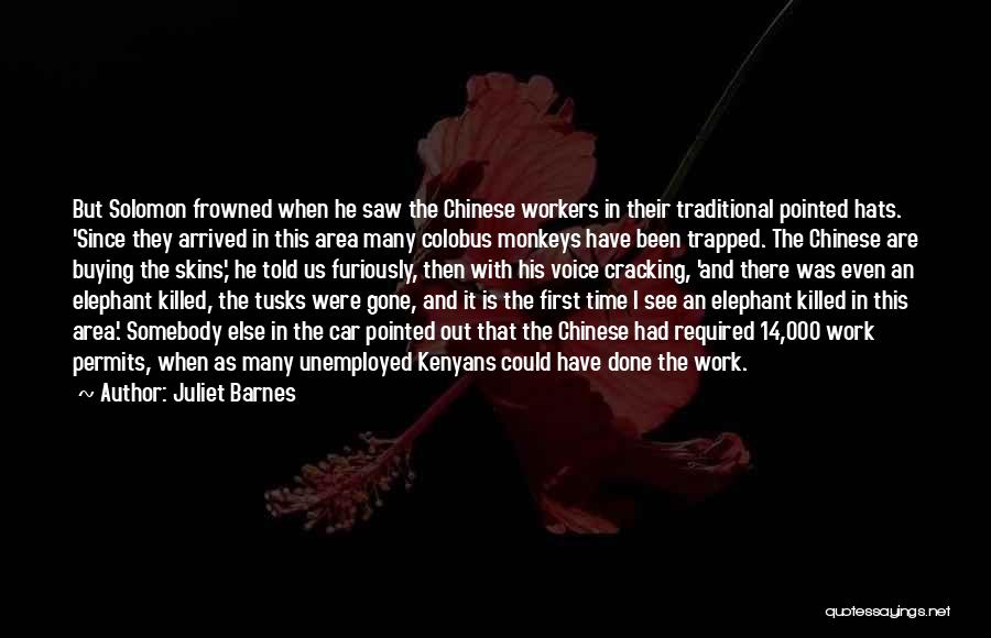 Juliet Barnes Quotes: But Solomon Frowned When He Saw The Chinese Workers In Their Traditional Pointed Hats. 'since They Arrived In This Area