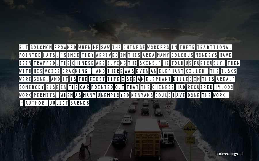 Juliet Barnes Quotes: But Solomon Frowned When He Saw The Chinese Workers In Their Traditional Pointed Hats. 'since They Arrived In This Area