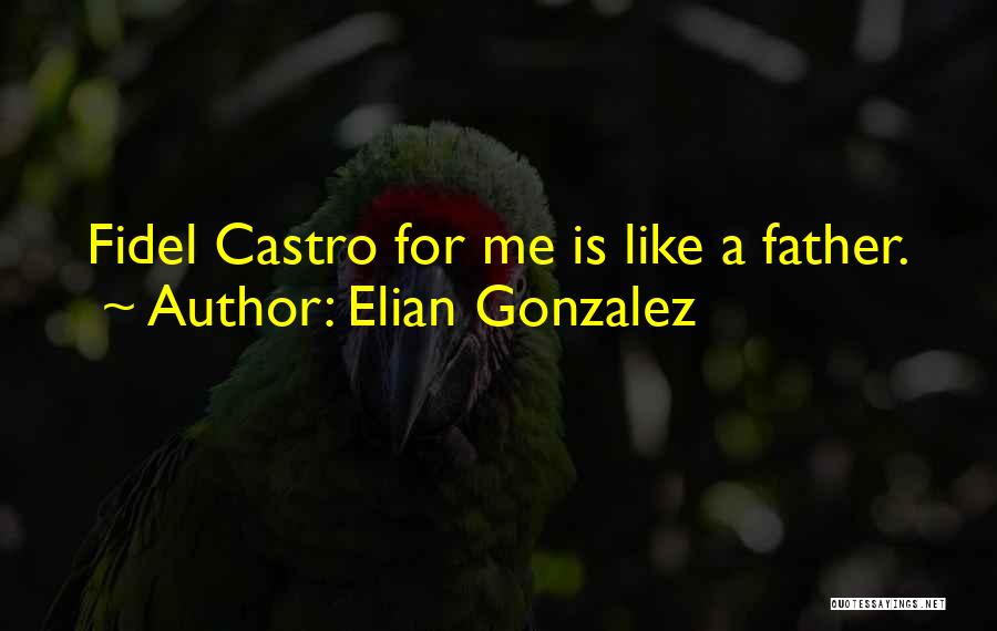 Elian Gonzalez Quotes: Fidel Castro For Me Is Like A Father.