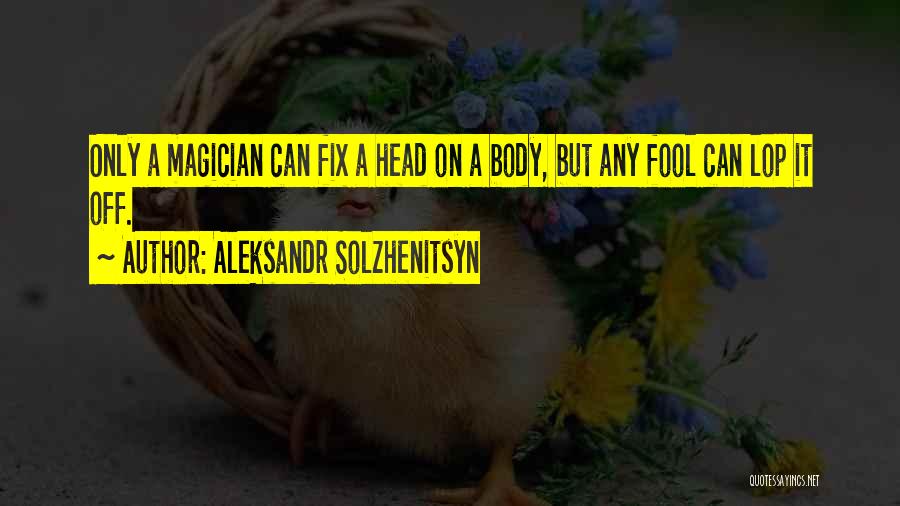 Aleksandr Solzhenitsyn Quotes: Only A Magician Can Fix A Head On A Body, But Any Fool Can Lop It Off.