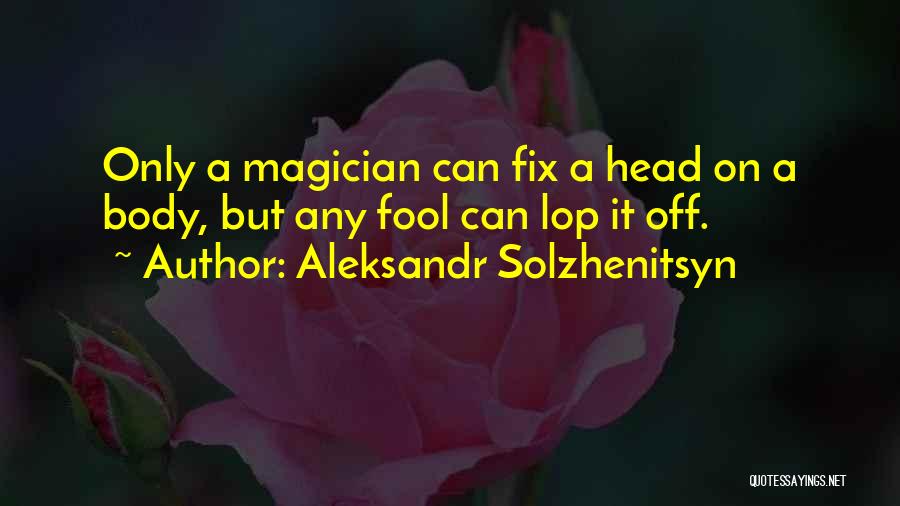 Aleksandr Solzhenitsyn Quotes: Only A Magician Can Fix A Head On A Body, But Any Fool Can Lop It Off.