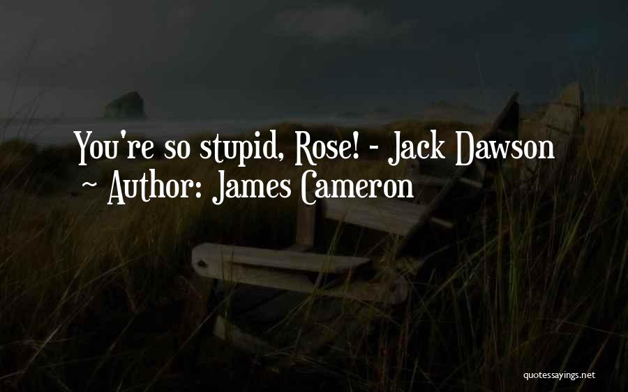 James Cameron Quotes: You're So Stupid, Rose! - Jack Dawson