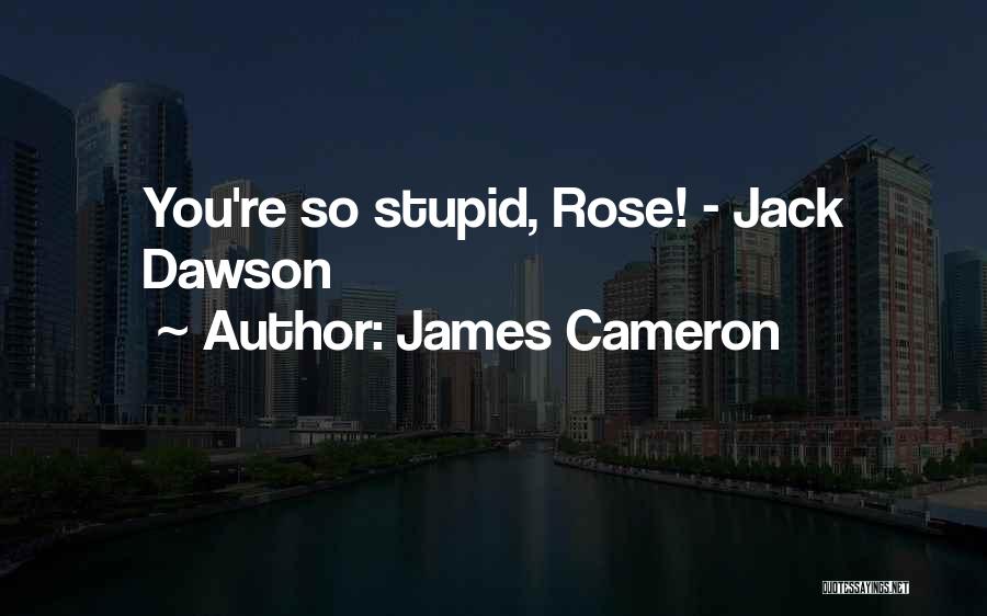 James Cameron Quotes: You're So Stupid, Rose! - Jack Dawson