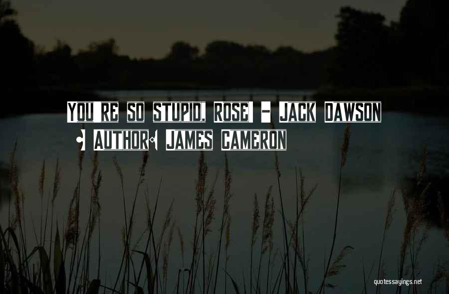 James Cameron Quotes: You're So Stupid, Rose! - Jack Dawson