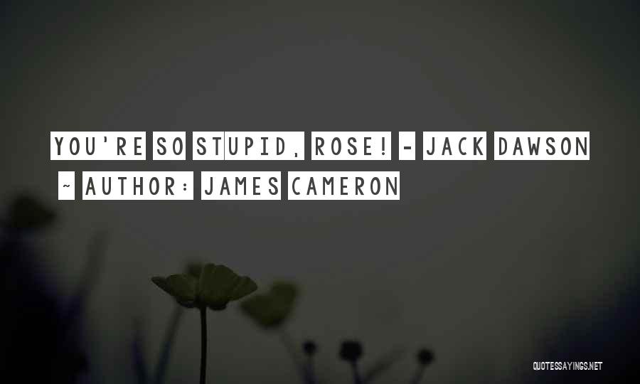 James Cameron Quotes: You're So Stupid, Rose! - Jack Dawson