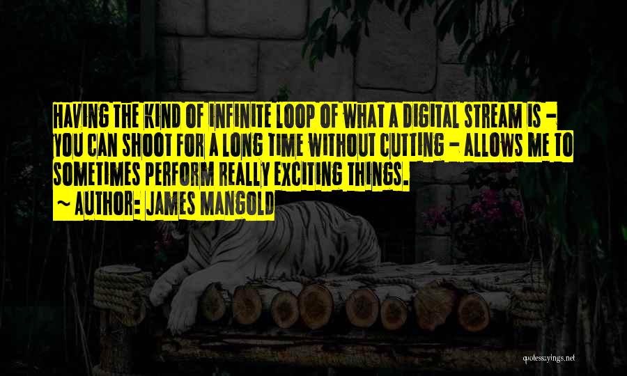 James Mangold Quotes: Having The Kind Of Infinite Loop Of What A Digital Stream Is - You Can Shoot For A Long Time