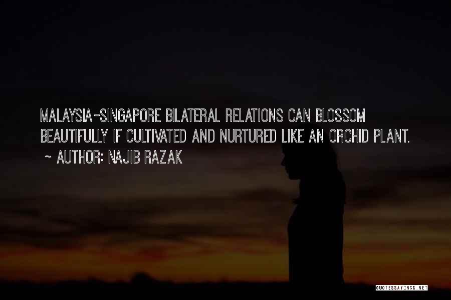 Najib Razak Quotes: Malaysia-singapore Bilateral Relations Can Blossom Beautifully If Cultivated And Nurtured Like An Orchid Plant.