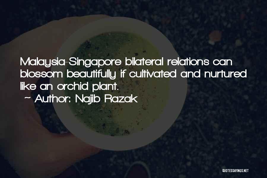 Najib Razak Quotes: Malaysia-singapore Bilateral Relations Can Blossom Beautifully If Cultivated And Nurtured Like An Orchid Plant.