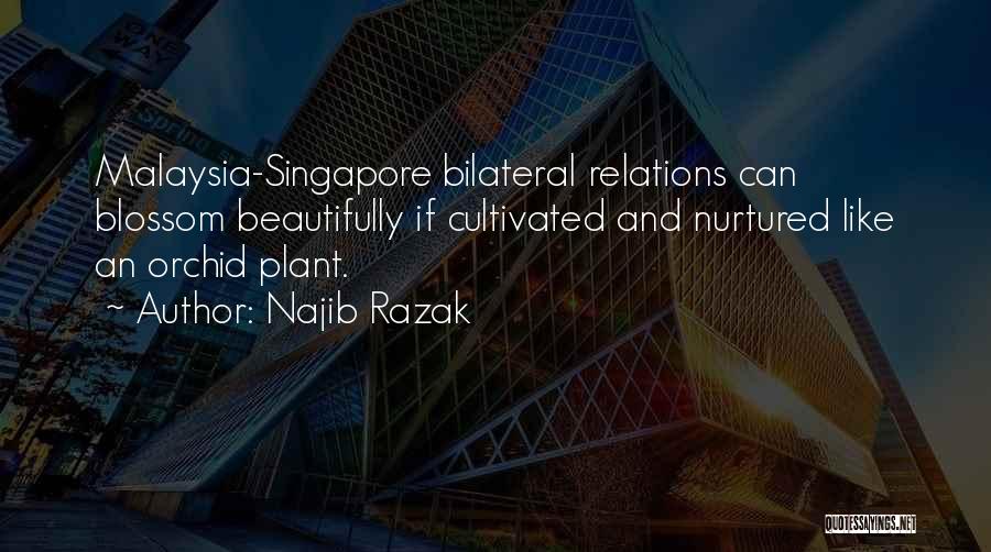 Najib Razak Quotes: Malaysia-singapore Bilateral Relations Can Blossom Beautifully If Cultivated And Nurtured Like An Orchid Plant.