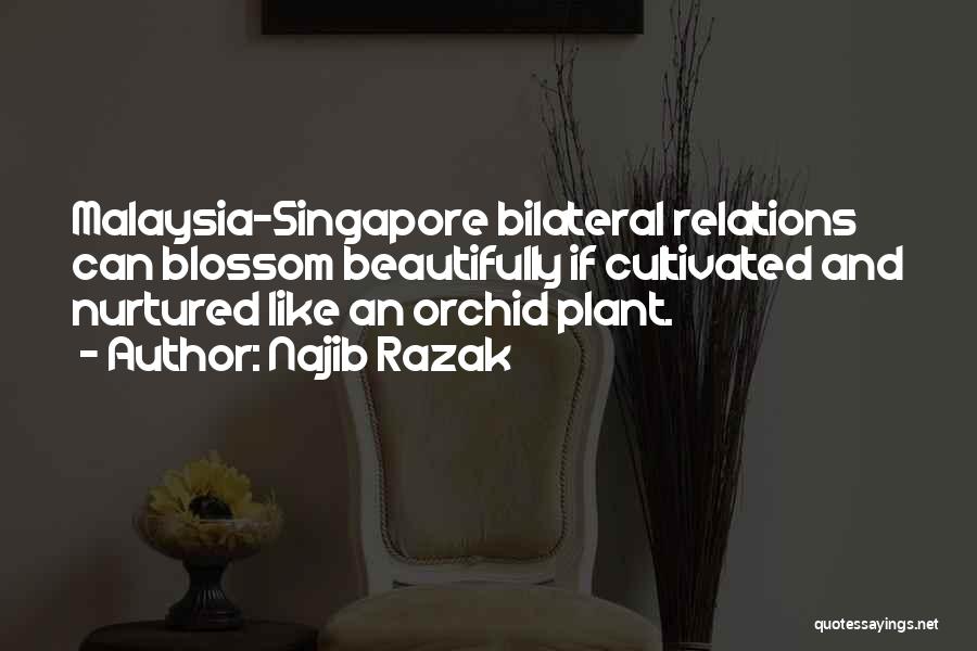 Najib Razak Quotes: Malaysia-singapore Bilateral Relations Can Blossom Beautifully If Cultivated And Nurtured Like An Orchid Plant.