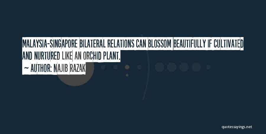 Najib Razak Quotes: Malaysia-singapore Bilateral Relations Can Blossom Beautifully If Cultivated And Nurtured Like An Orchid Plant.