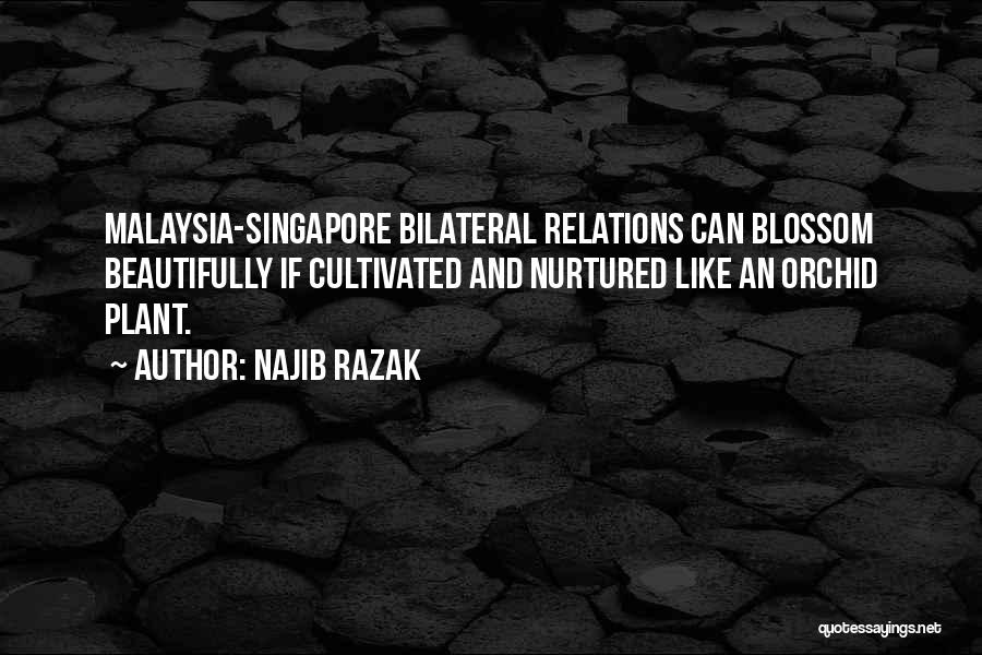 Najib Razak Quotes: Malaysia-singapore Bilateral Relations Can Blossom Beautifully If Cultivated And Nurtured Like An Orchid Plant.