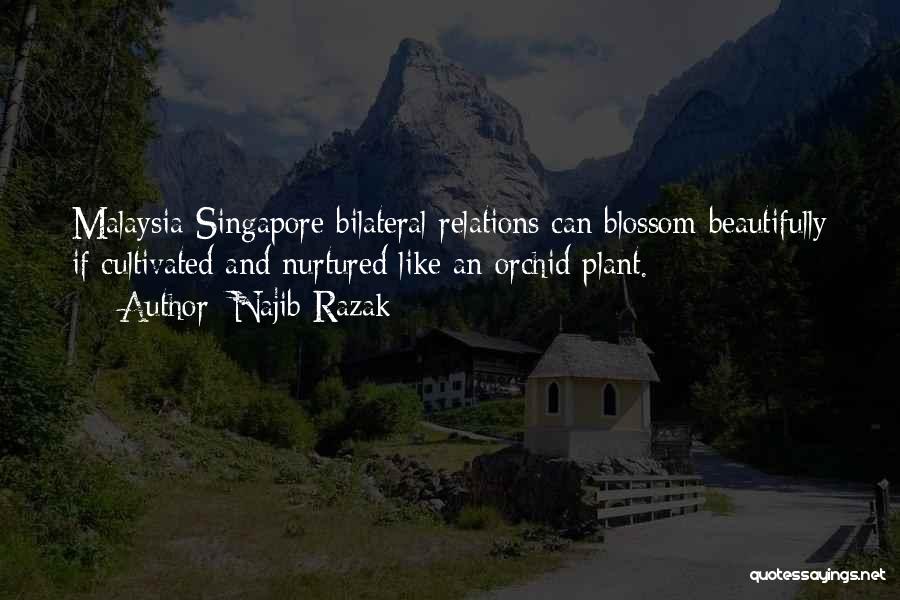 Najib Razak Quotes: Malaysia-singapore Bilateral Relations Can Blossom Beautifully If Cultivated And Nurtured Like An Orchid Plant.