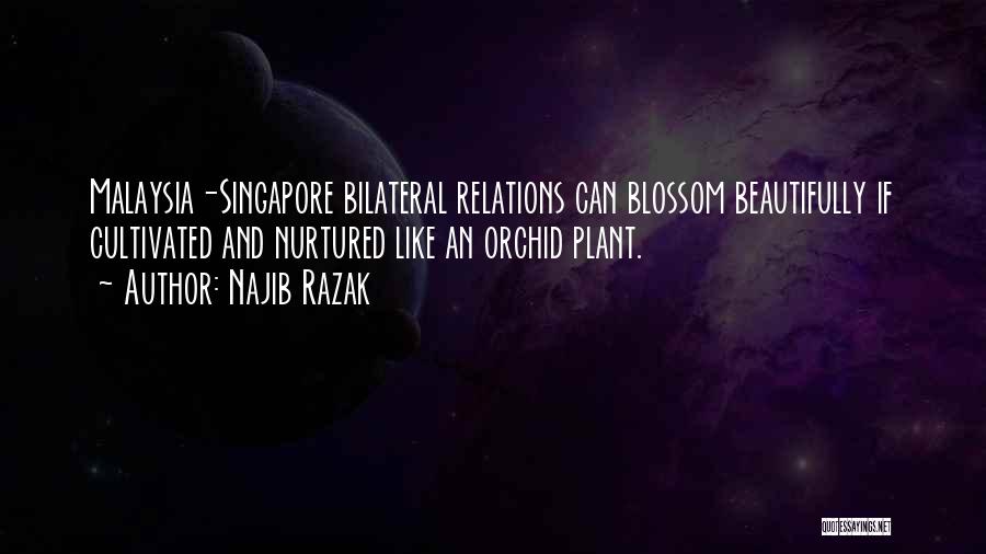 Najib Razak Quotes: Malaysia-singapore Bilateral Relations Can Blossom Beautifully If Cultivated And Nurtured Like An Orchid Plant.
