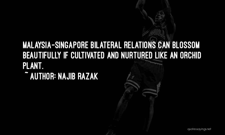 Najib Razak Quotes: Malaysia-singapore Bilateral Relations Can Blossom Beautifully If Cultivated And Nurtured Like An Orchid Plant.