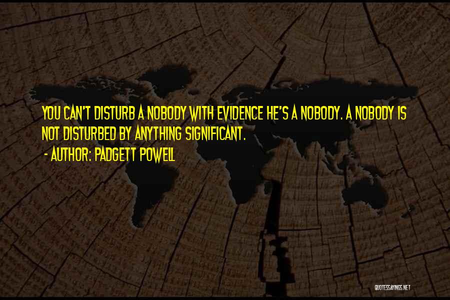 Padgett Powell Quotes: You Can't Disturb A Nobody With Evidence He's A Nobody. A Nobody Is Not Disturbed By Anything Significant.