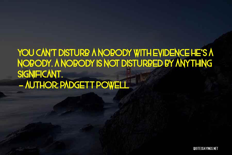 Padgett Powell Quotes: You Can't Disturb A Nobody With Evidence He's A Nobody. A Nobody Is Not Disturbed By Anything Significant.
