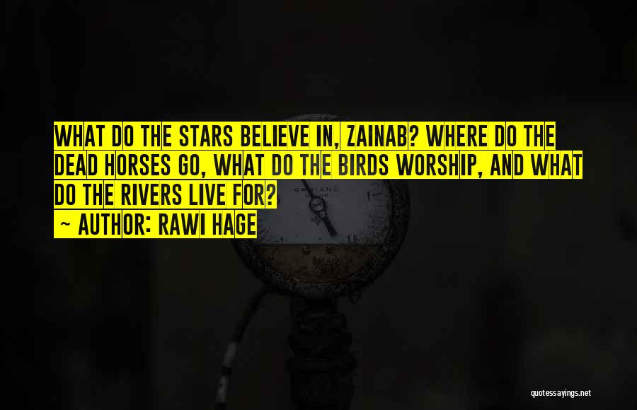 Rawi Hage Quotes: What Do The Stars Believe In, Zainab? Where Do The Dead Horses Go, What Do The Birds Worship, And What