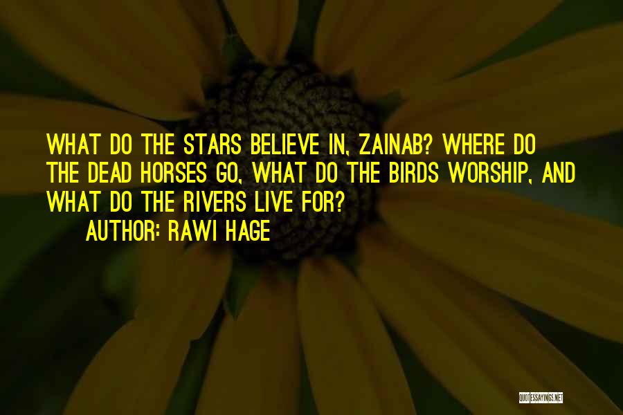 Rawi Hage Quotes: What Do The Stars Believe In, Zainab? Where Do The Dead Horses Go, What Do The Birds Worship, And What