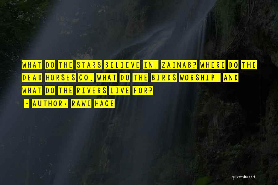 Rawi Hage Quotes: What Do The Stars Believe In, Zainab? Where Do The Dead Horses Go, What Do The Birds Worship, And What