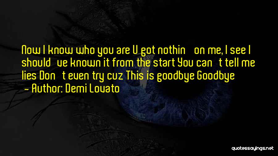 Demi Lovato Quotes: Now I Know Who You Are U Got Nothin' On Me, I See I Should've Known It From The Start