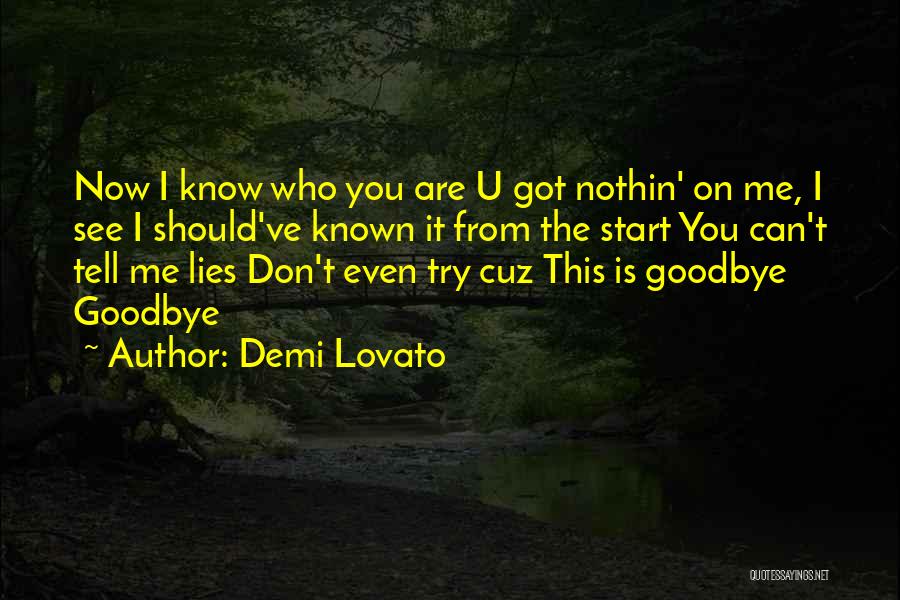 Demi Lovato Quotes: Now I Know Who You Are U Got Nothin' On Me, I See I Should've Known It From The Start