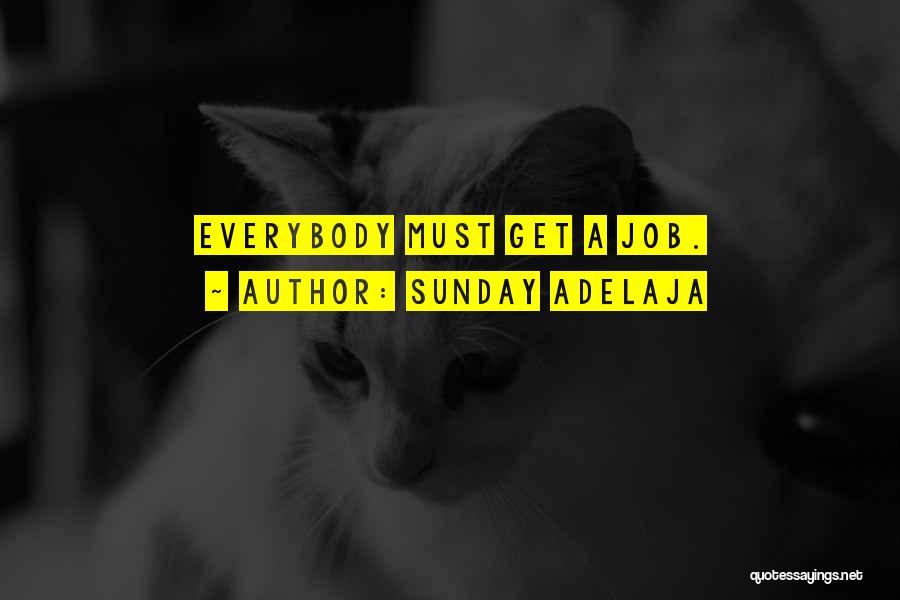 Sunday Adelaja Quotes: Everybody Must Get A Job.
