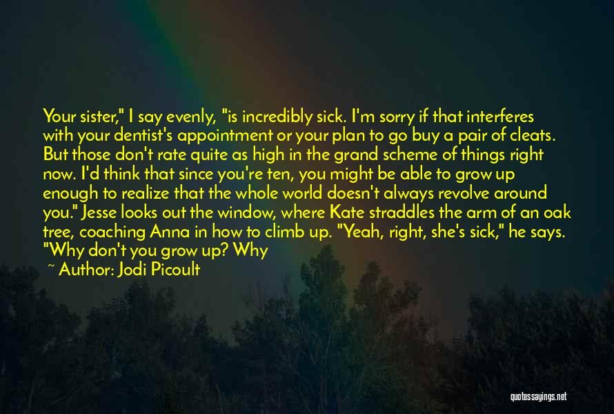 Jodi Picoult Quotes: Your Sister, I Say Evenly, Is Incredibly Sick. I'm Sorry If That Interferes With Your Dentist's Appointment Or Your Plan