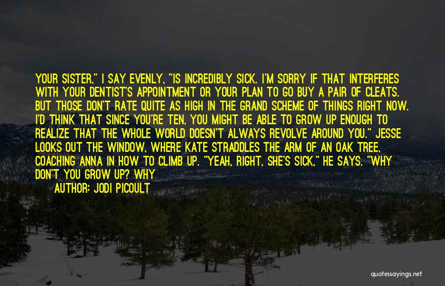 Jodi Picoult Quotes: Your Sister, I Say Evenly, Is Incredibly Sick. I'm Sorry If That Interferes With Your Dentist's Appointment Or Your Plan