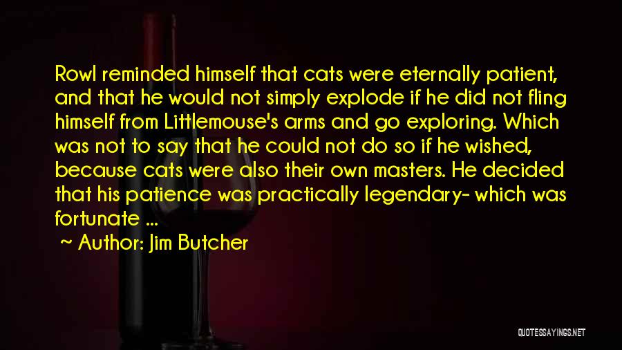 Jim Butcher Quotes: Rowl Reminded Himself That Cats Were Eternally Patient, And That He Would Not Simply Explode If He Did Not Fling