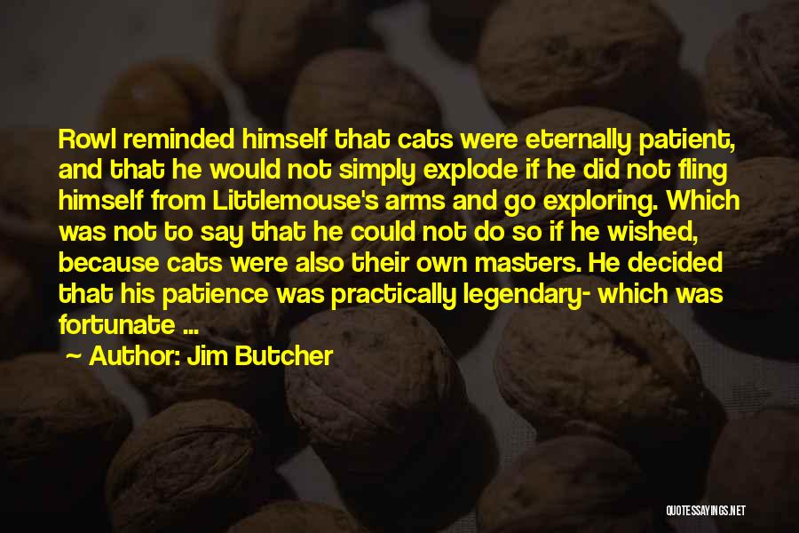 Jim Butcher Quotes: Rowl Reminded Himself That Cats Were Eternally Patient, And That He Would Not Simply Explode If He Did Not Fling