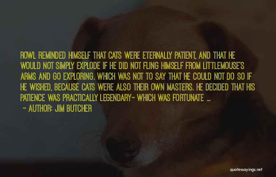 Jim Butcher Quotes: Rowl Reminded Himself That Cats Were Eternally Patient, And That He Would Not Simply Explode If He Did Not Fling