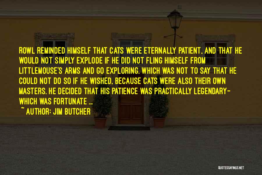 Jim Butcher Quotes: Rowl Reminded Himself That Cats Were Eternally Patient, And That He Would Not Simply Explode If He Did Not Fling