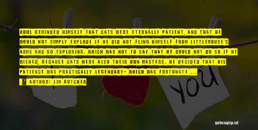 Jim Butcher Quotes: Rowl Reminded Himself That Cats Were Eternally Patient, And That He Would Not Simply Explode If He Did Not Fling