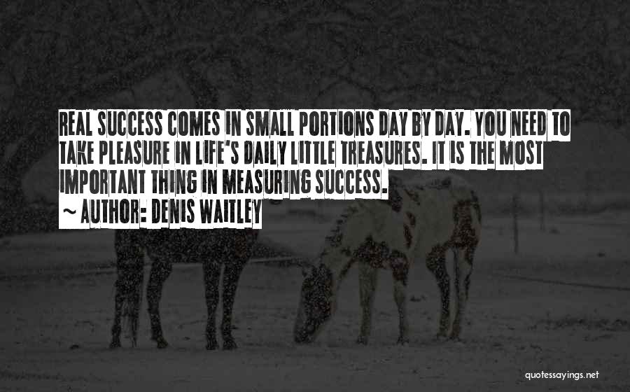 Denis Waitley Quotes: Real Success Comes In Small Portions Day By Day. You Need To Take Pleasure In Life's Daily Little Treasures. It
