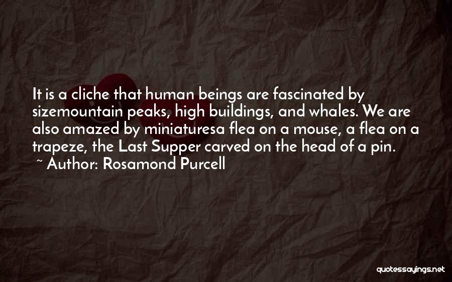 Rosamond Purcell Quotes: It Is A Cliche That Human Beings Are Fascinated By Sizemountain Peaks, High Buildings, And Whales. We Are Also Amazed