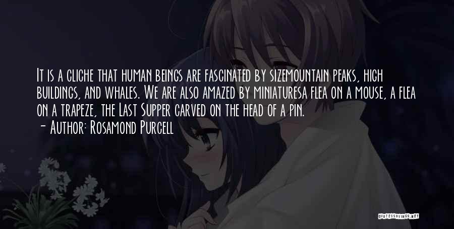 Rosamond Purcell Quotes: It Is A Cliche That Human Beings Are Fascinated By Sizemountain Peaks, High Buildings, And Whales. We Are Also Amazed