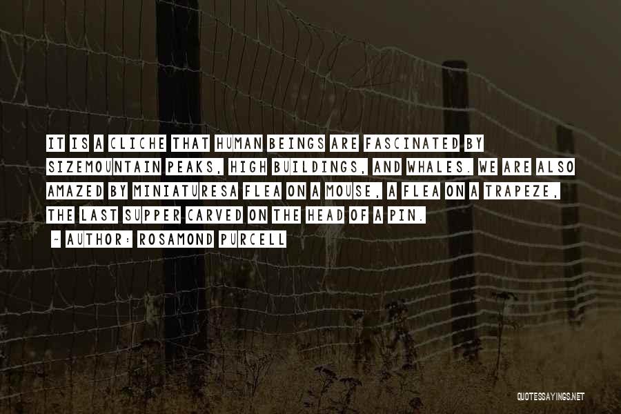 Rosamond Purcell Quotes: It Is A Cliche That Human Beings Are Fascinated By Sizemountain Peaks, High Buildings, And Whales. We Are Also Amazed