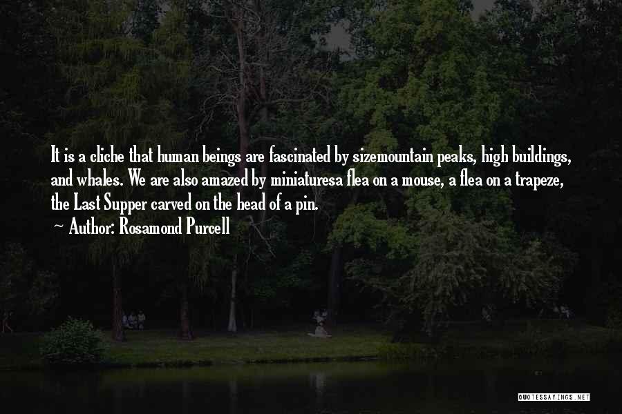 Rosamond Purcell Quotes: It Is A Cliche That Human Beings Are Fascinated By Sizemountain Peaks, High Buildings, And Whales. We Are Also Amazed