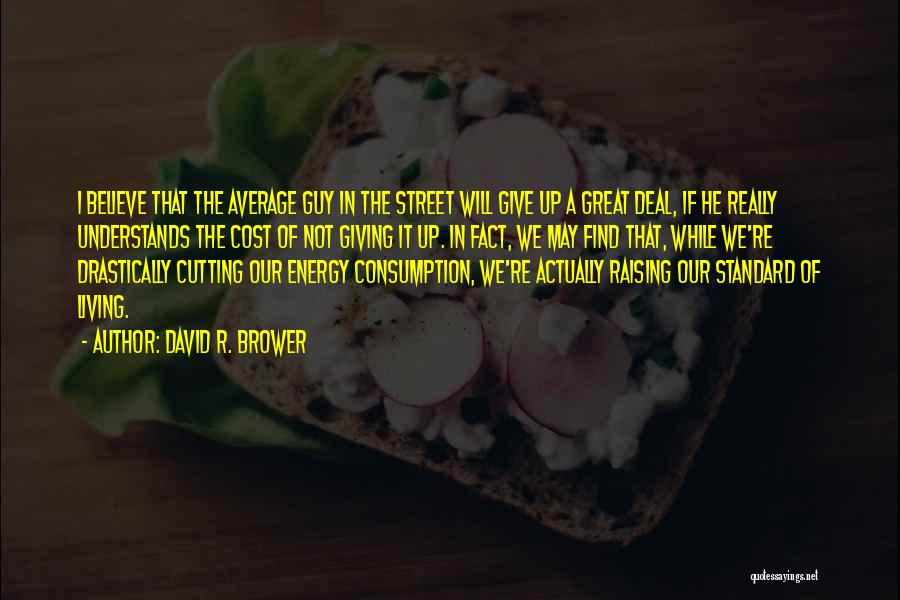 David R. Brower Quotes: I Believe That The Average Guy In The Street Will Give Up A Great Deal, If He Really Understands The