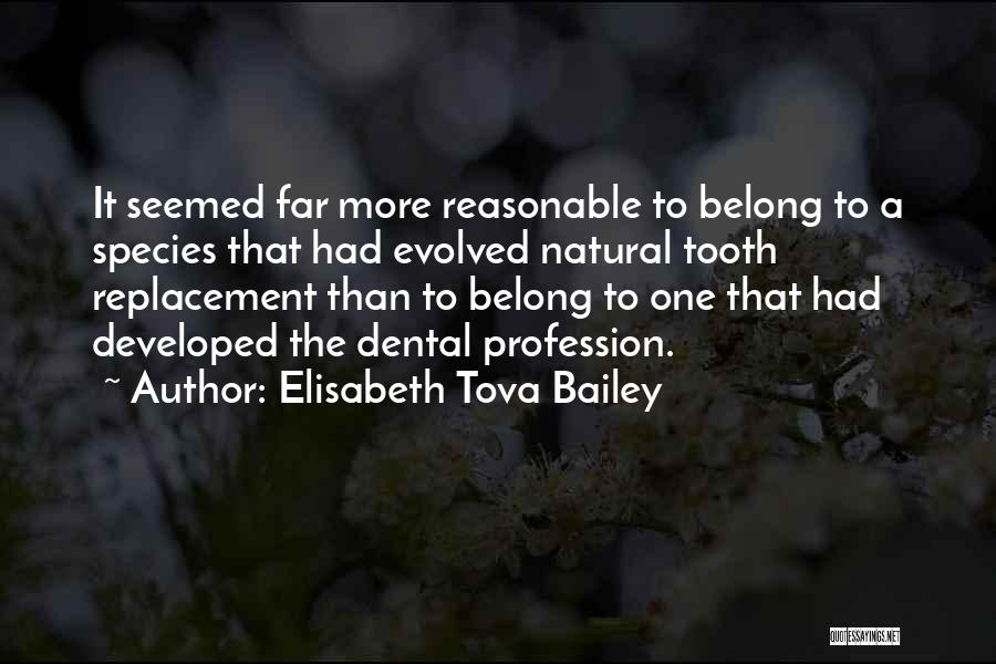 Elisabeth Tova Bailey Quotes: It Seemed Far More Reasonable To Belong To A Species That Had Evolved Natural Tooth Replacement Than To Belong To